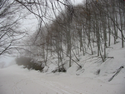 雪が少ないと林道ののり面が露出する
