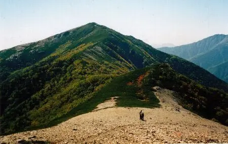 蝙蝠岳