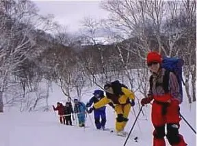 中の湯への樹林帯の登り