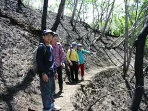 久慈男体山の山火事跡