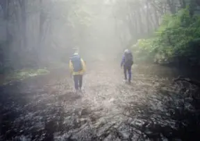 どこまでも続くナメをひたすら歩く