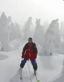 ガスの樹氷帯は幻想的だ