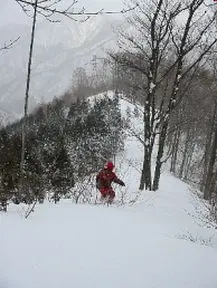 湯檜曽への尾根を滑る