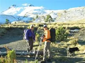 マリンチェでは犬も山頂へ