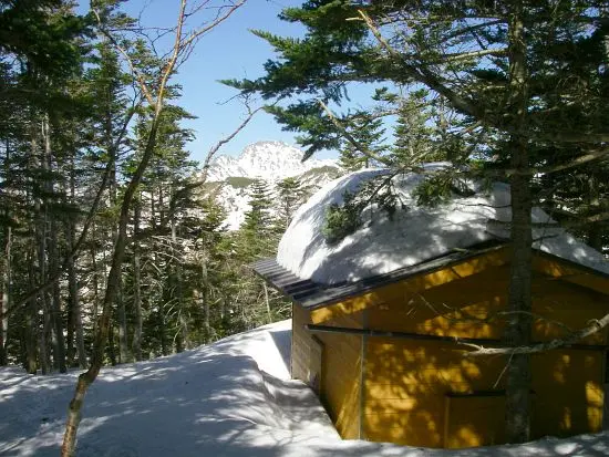 高山様専用】輪島塗 文鎮 小家香雪 工芸品